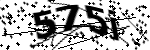 Captcha text