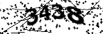 Captcha text